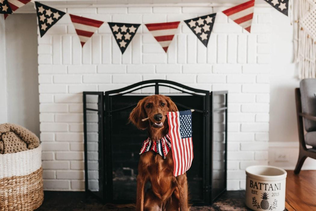 Customer Insights: How American will celebrate 2021 Independence day